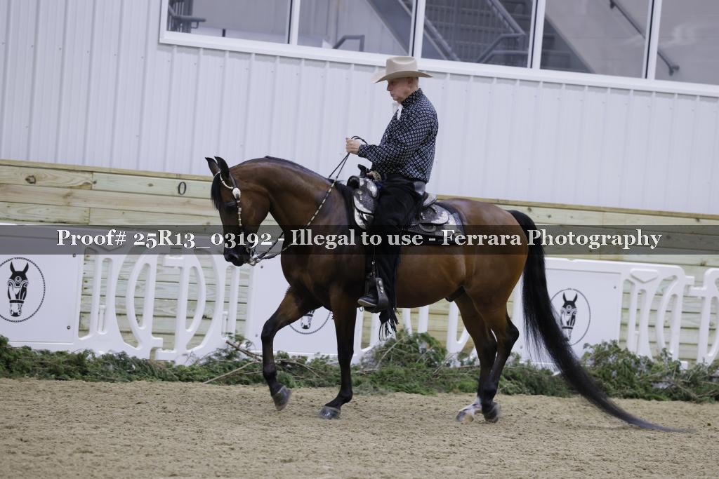 Proof 25R13_03192