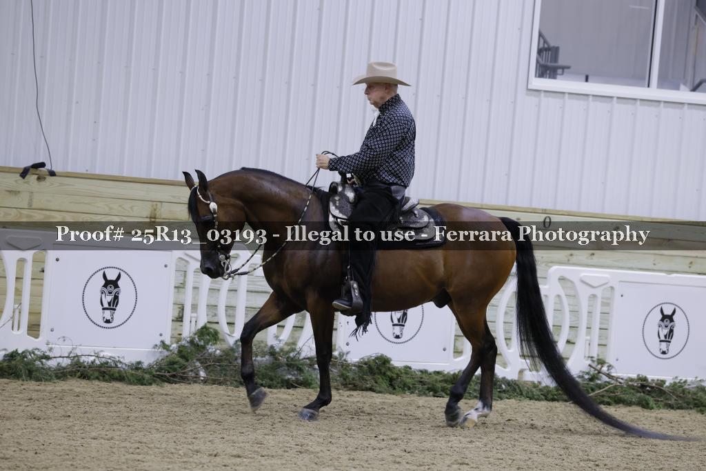 Proof 25R13_03193