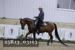 25R13_03193 proof