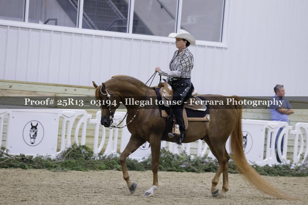 Proof 25R13_03194
