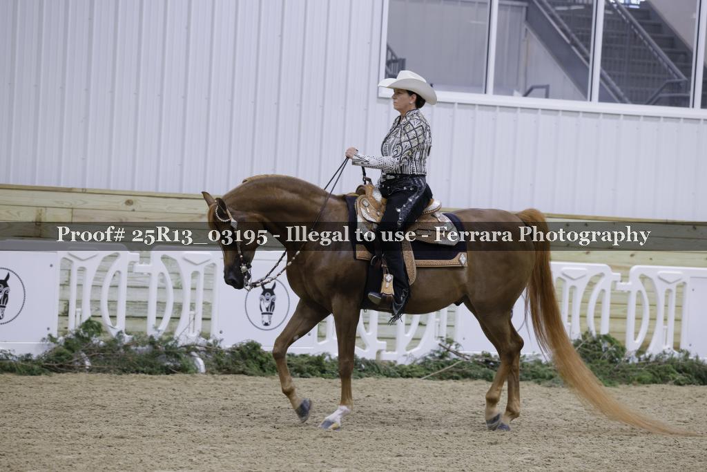 Proof 25R13_03195