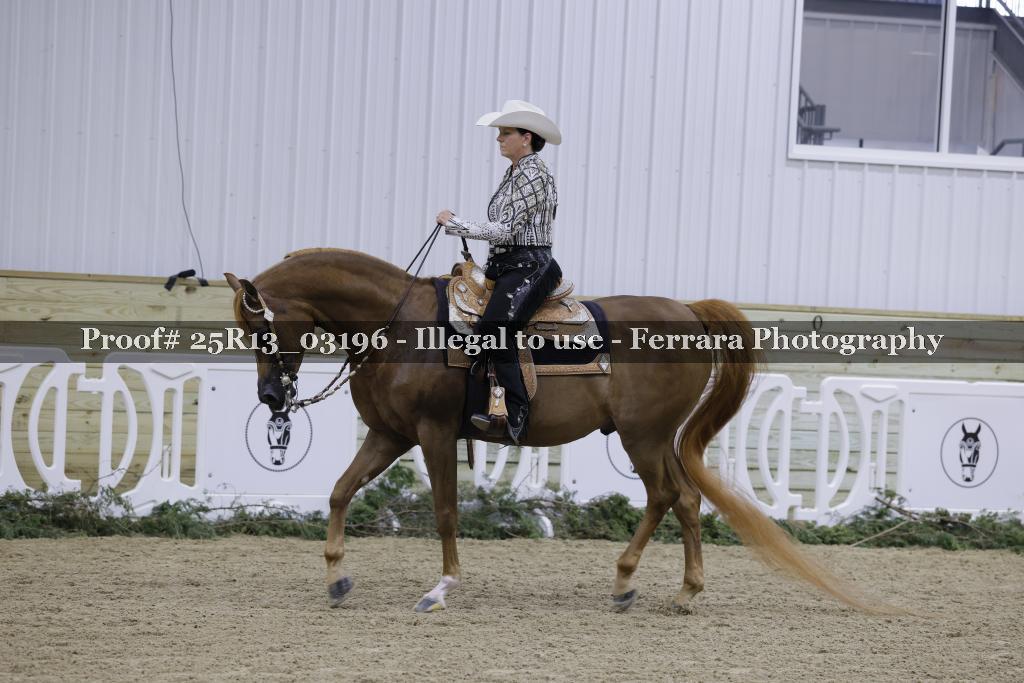 Proof 25R13_03196