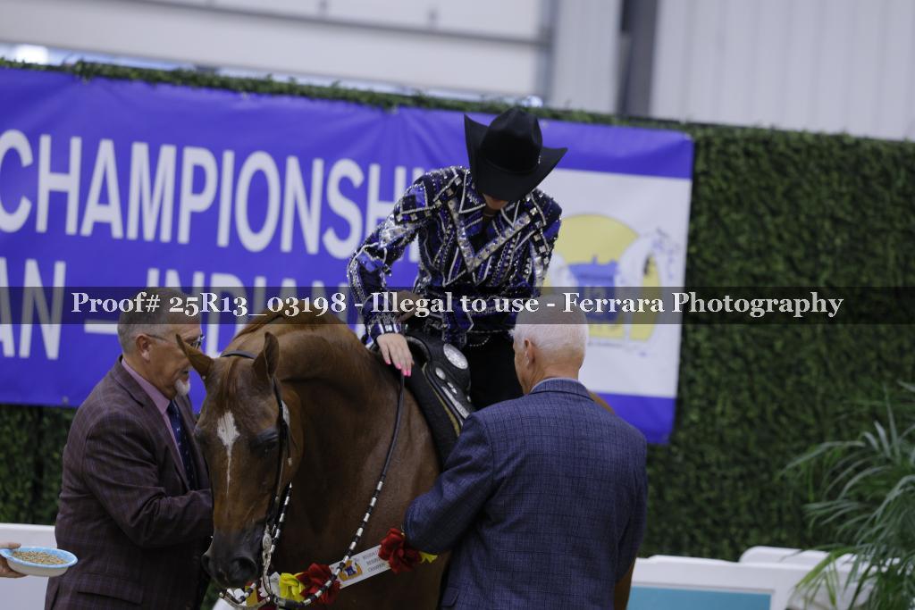 Proof 25R13_03198
