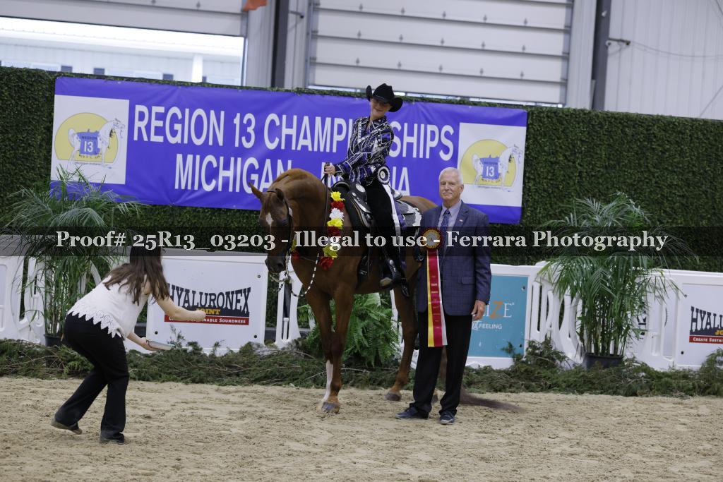 Proof 25R13_03203