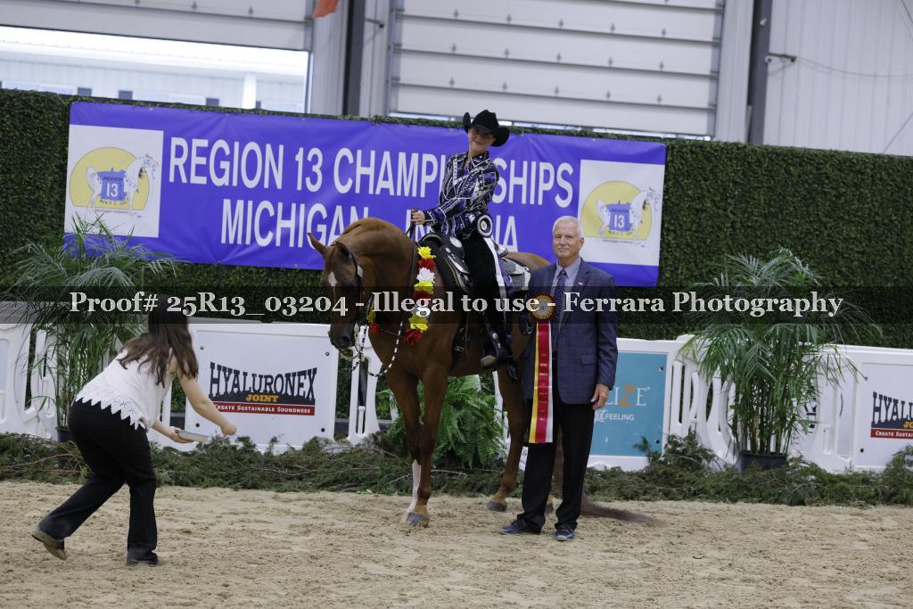 Proof 25R13_03204