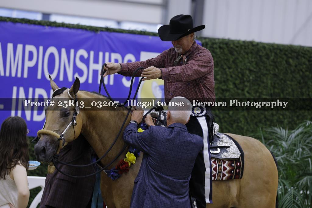 Proof 25R13_03207