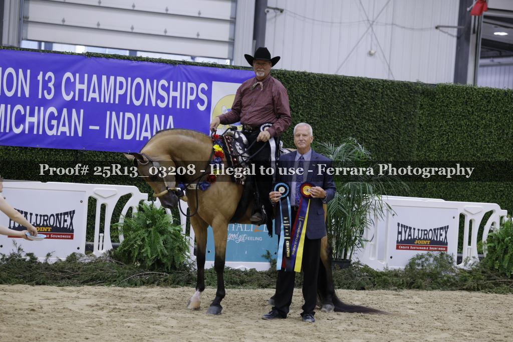 Proof 25R13_03208