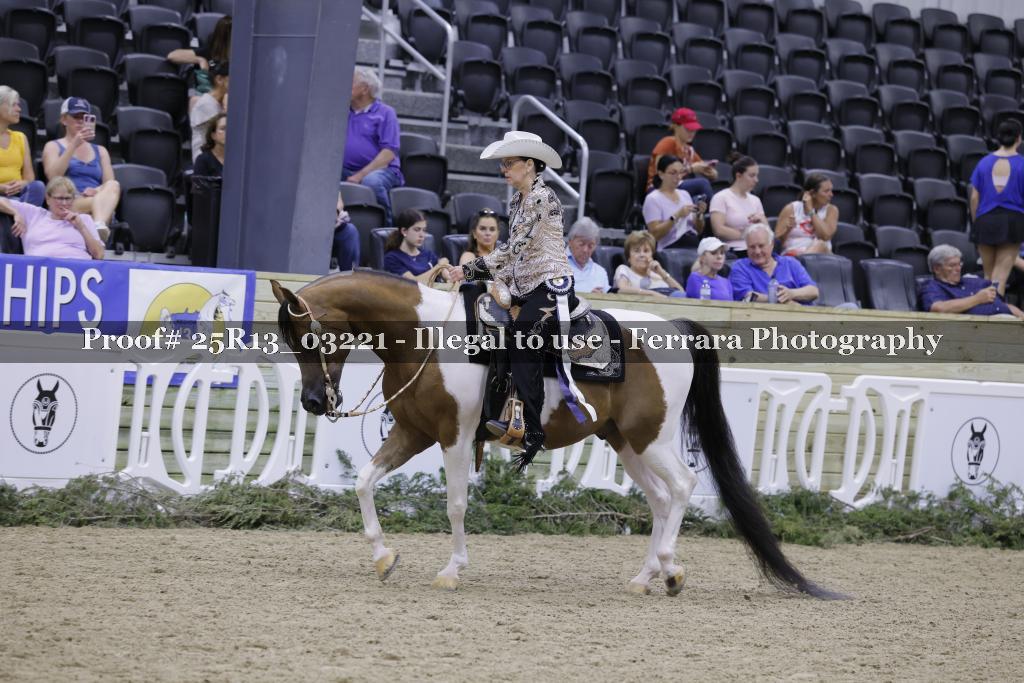 Proof 25R13_03221