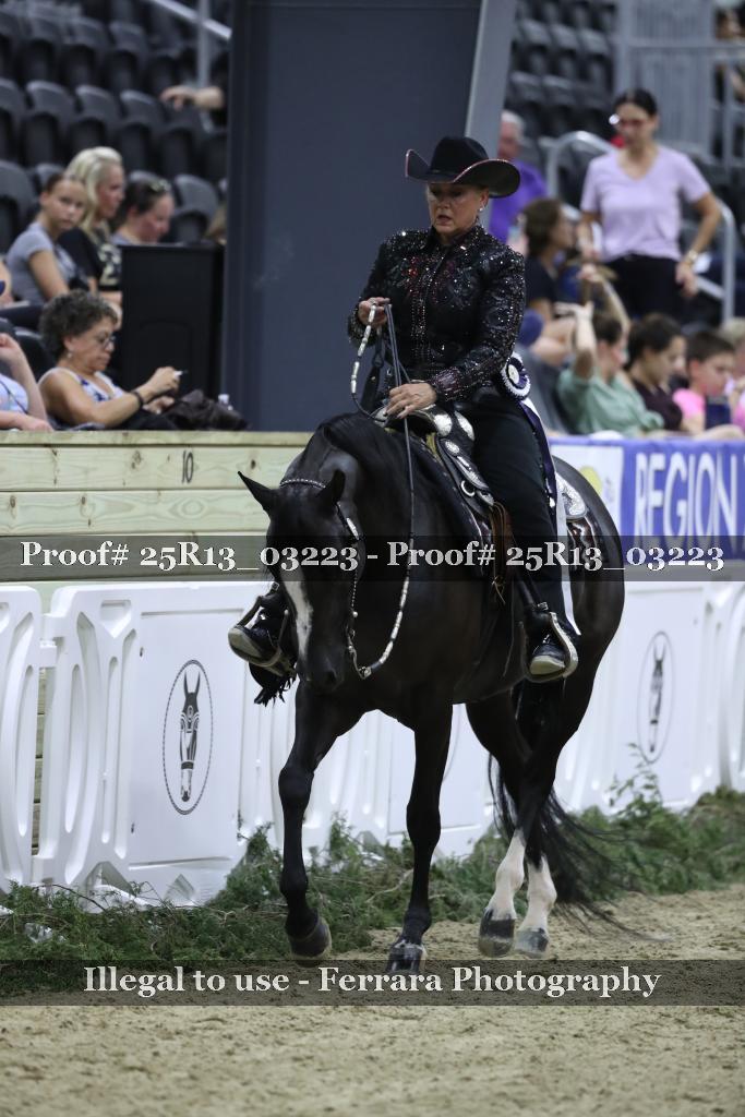 Proof 25R13_03223