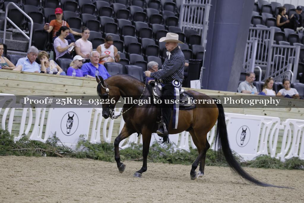 Proof 25R13_03226