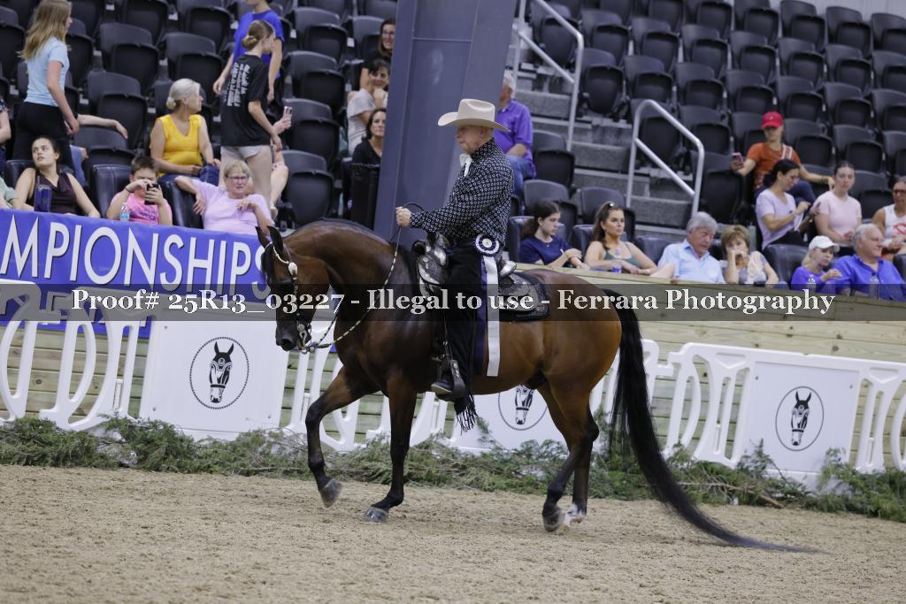 Proof 25R13_03227