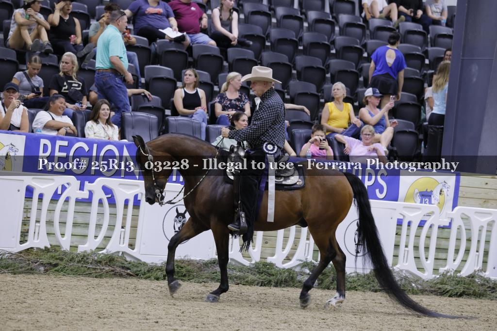 Proof 25R13_03228