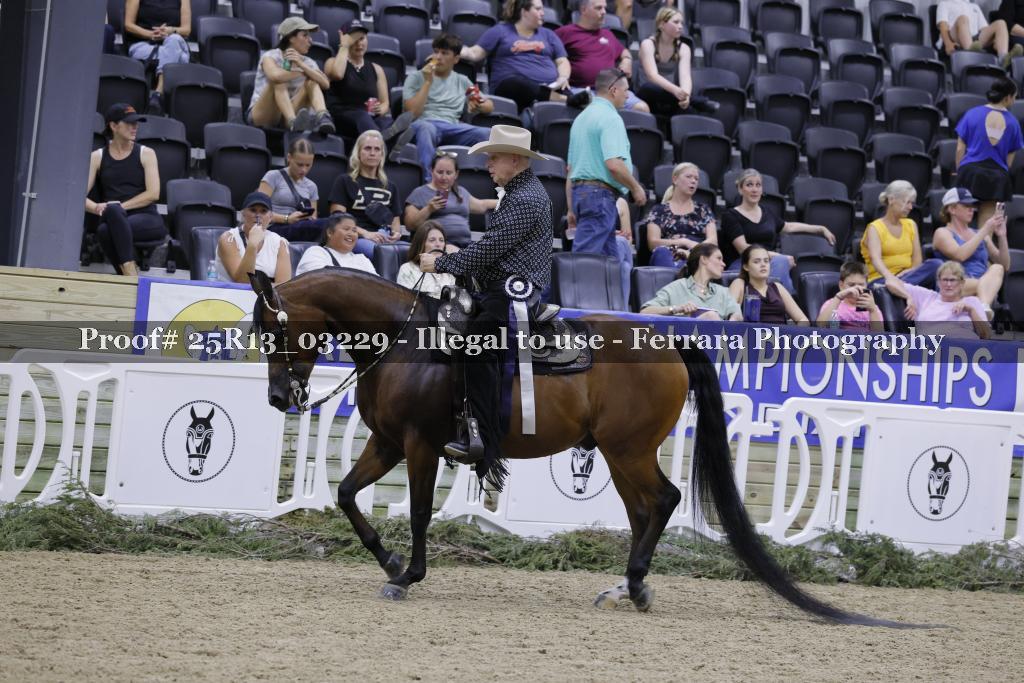 Proof 25R13_03229