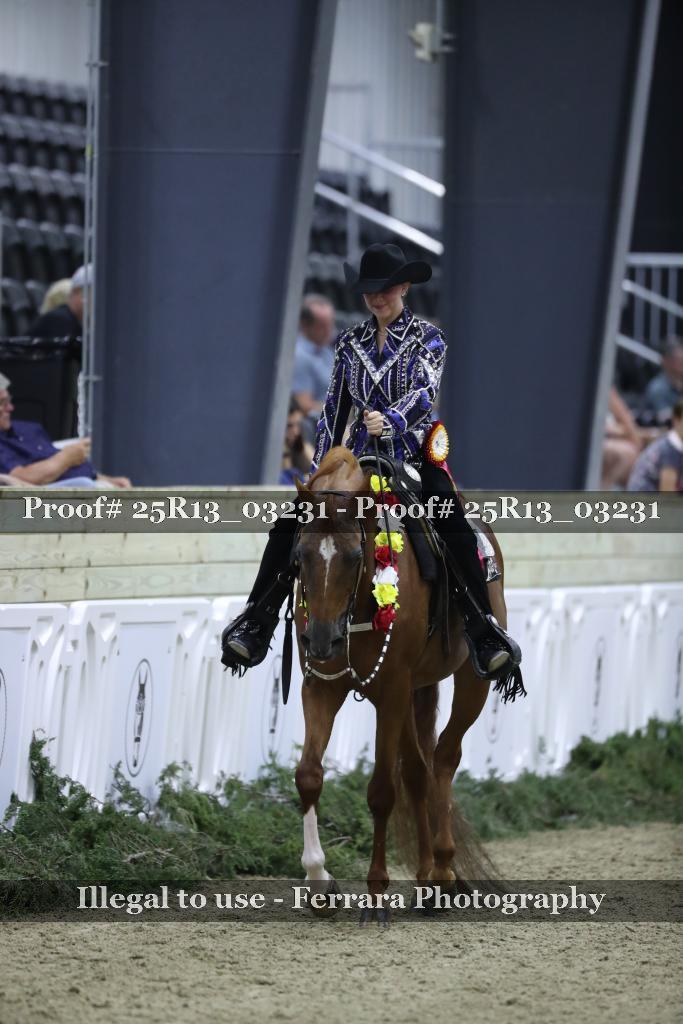 Proof 25R13_03231