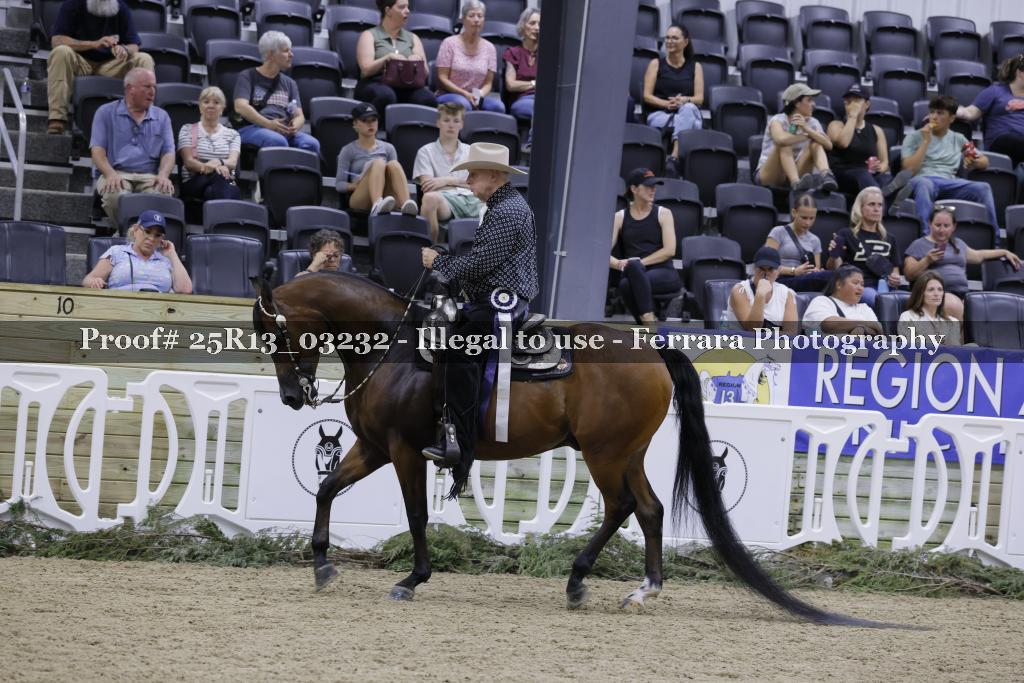 Proof 25R13_03232