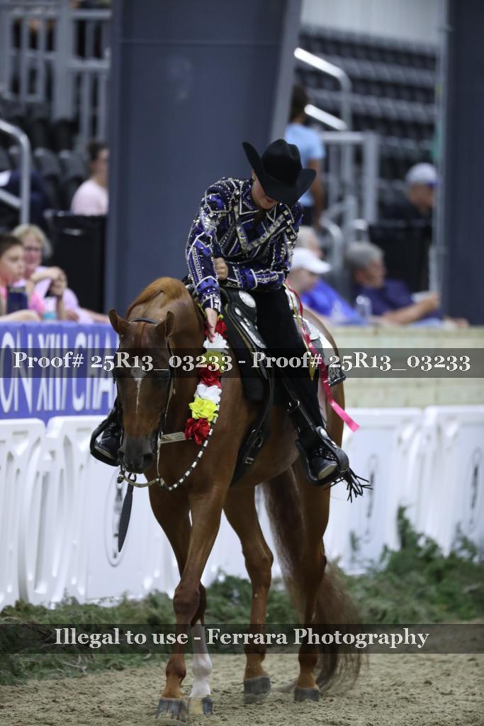 Proof 25R13_03233