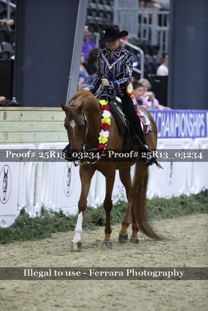 Proof 25R13_03234
