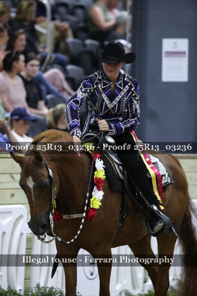 Proof 25R13_03236