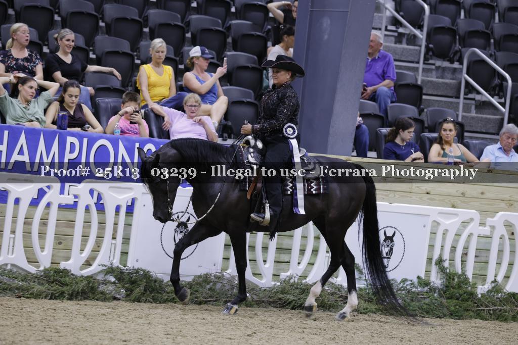 Proof 25R13_03239