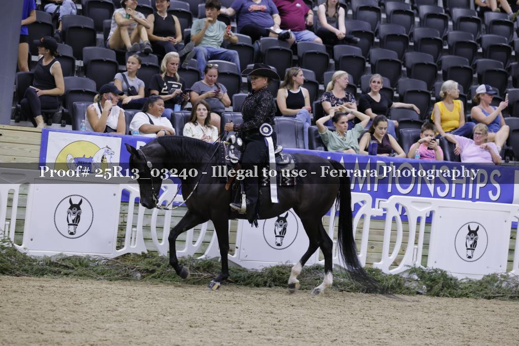 Proof 25R13_03240