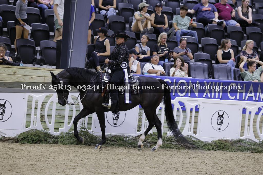 Proof 25R13_03241