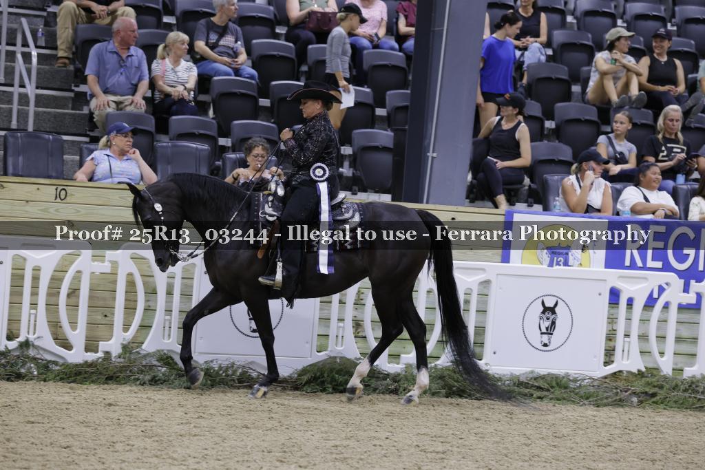 Proof 25R13_03244