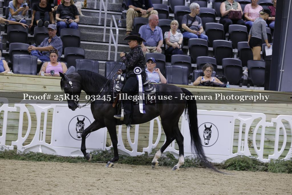 Proof 25R13_03245