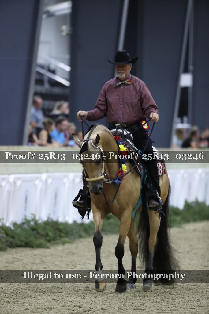 Proof 25R13_03246