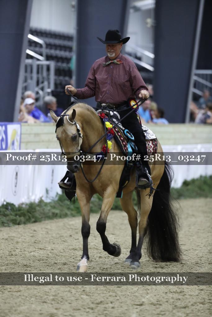 Proof 25R13_03247