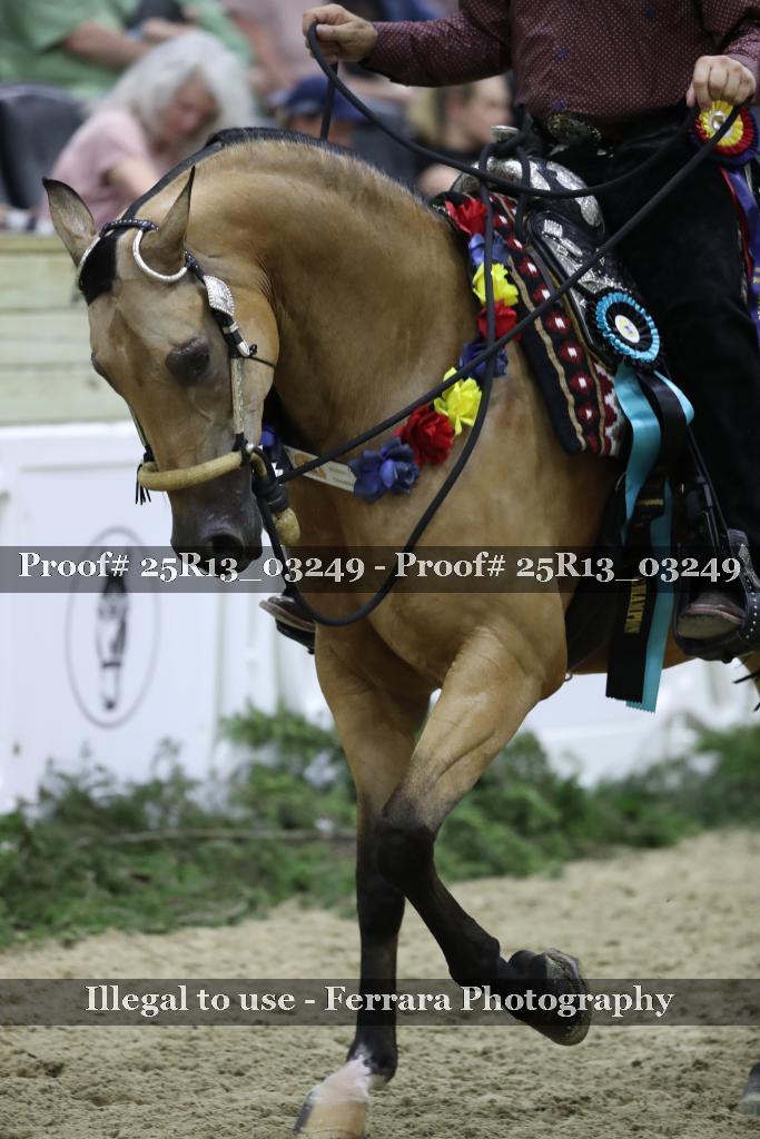 Proof 25R13_03249