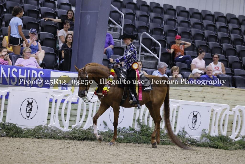 Proof 25R13_03250