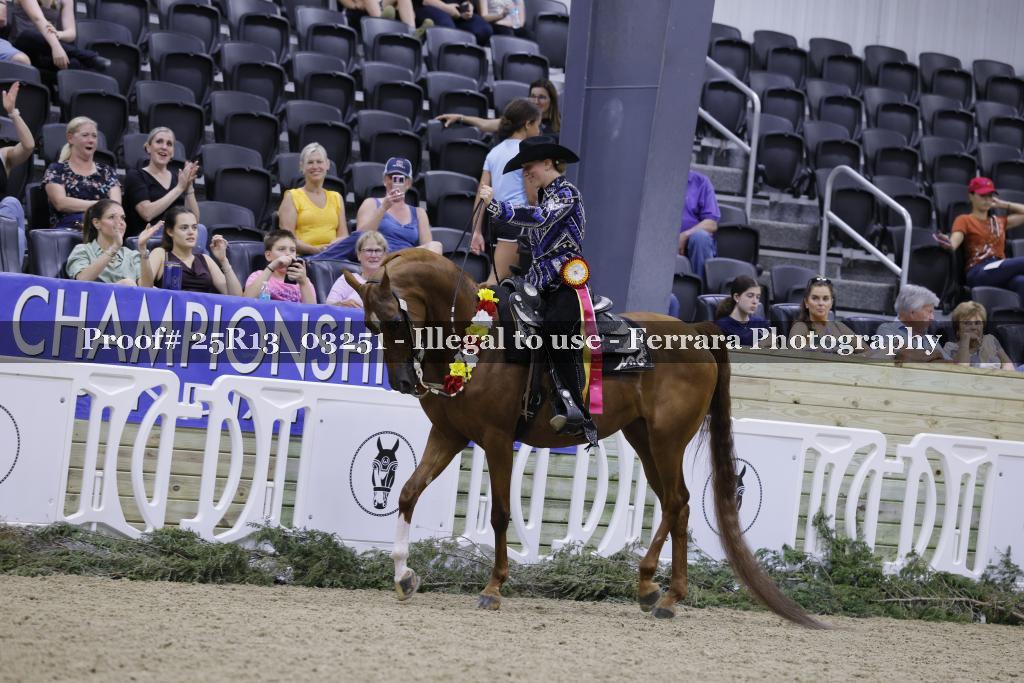 Proof 25R13_03251