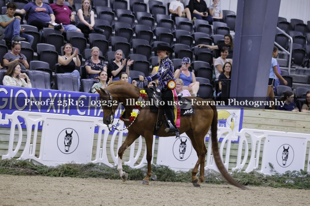 Proof 25R13_03252