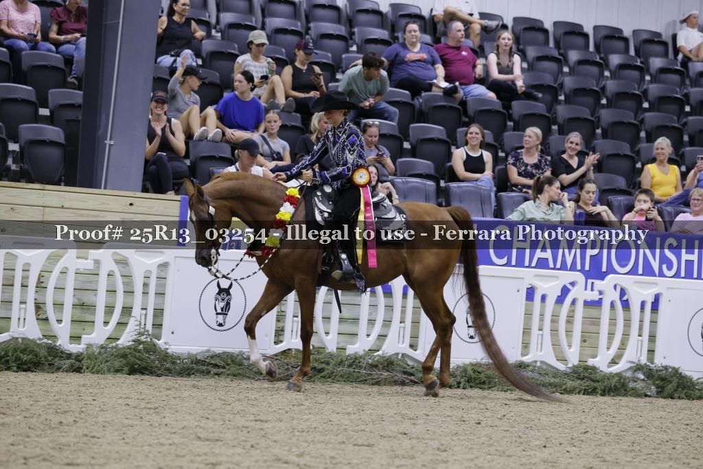 Proof 25R13_03254