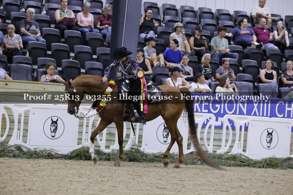 Proof 25R13_03255