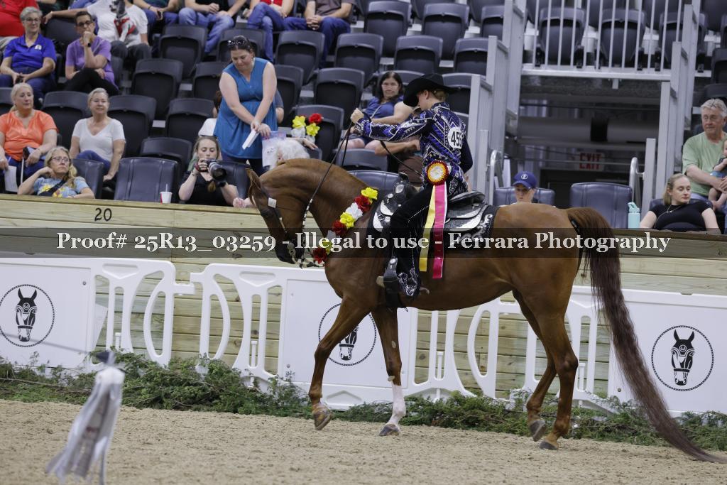 Proof 25R13_03259