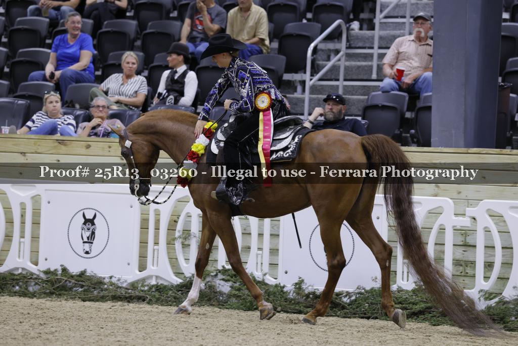 Proof 25R13_03260