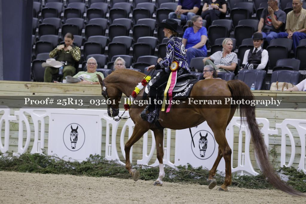 Proof 25R13_03261