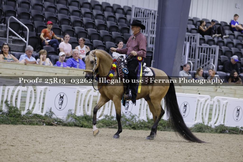 Proof 25R13_03262
