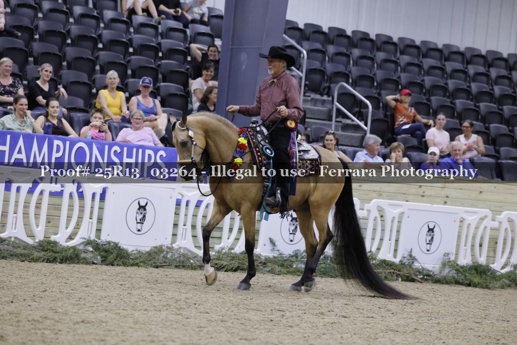 Proof 25R13_03264