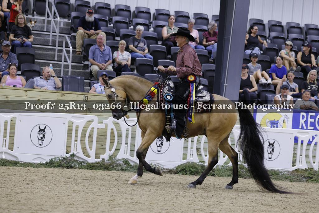 Proof 25R13_03266
