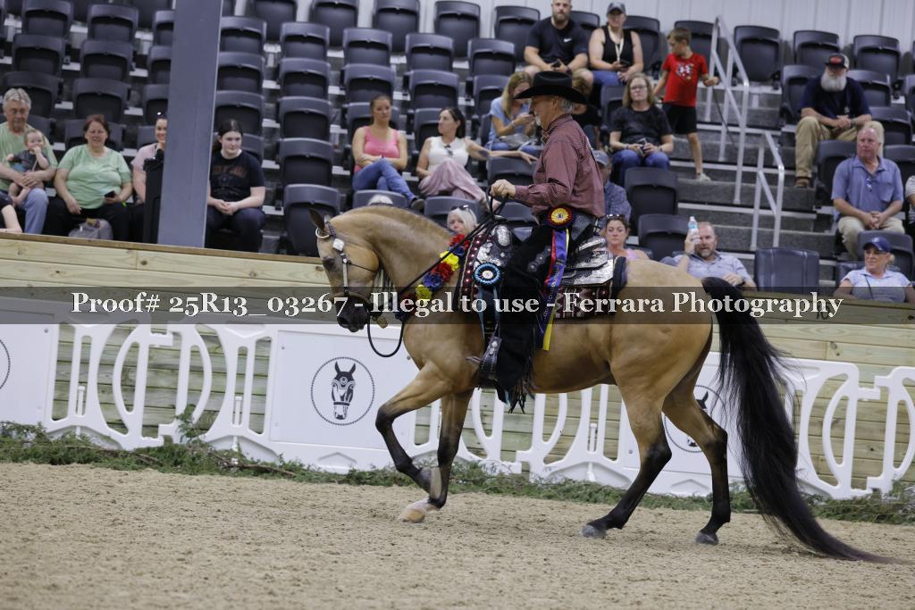 Proof 25R13_03267