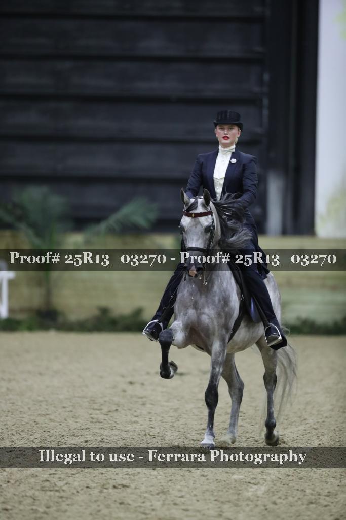 Proof 25R13_03270