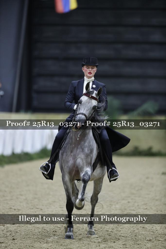 Proof 25R13_03271