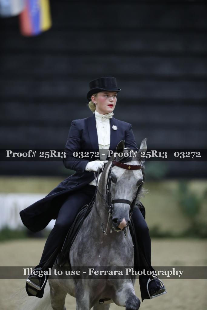 Proof 25R13_03272