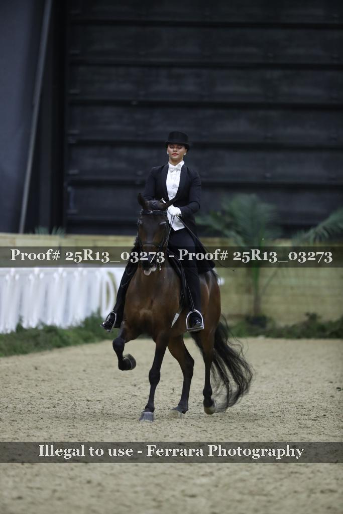 Proof 25R13_03273