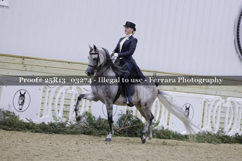 Proof 25R13_03274