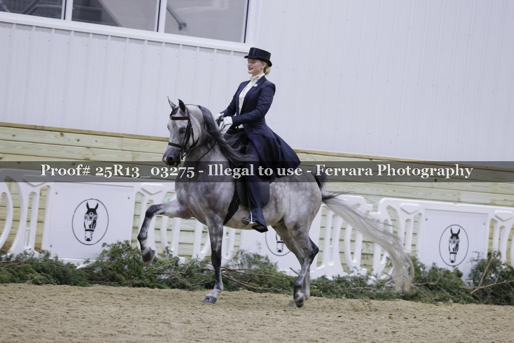 Proof 25R13_03275