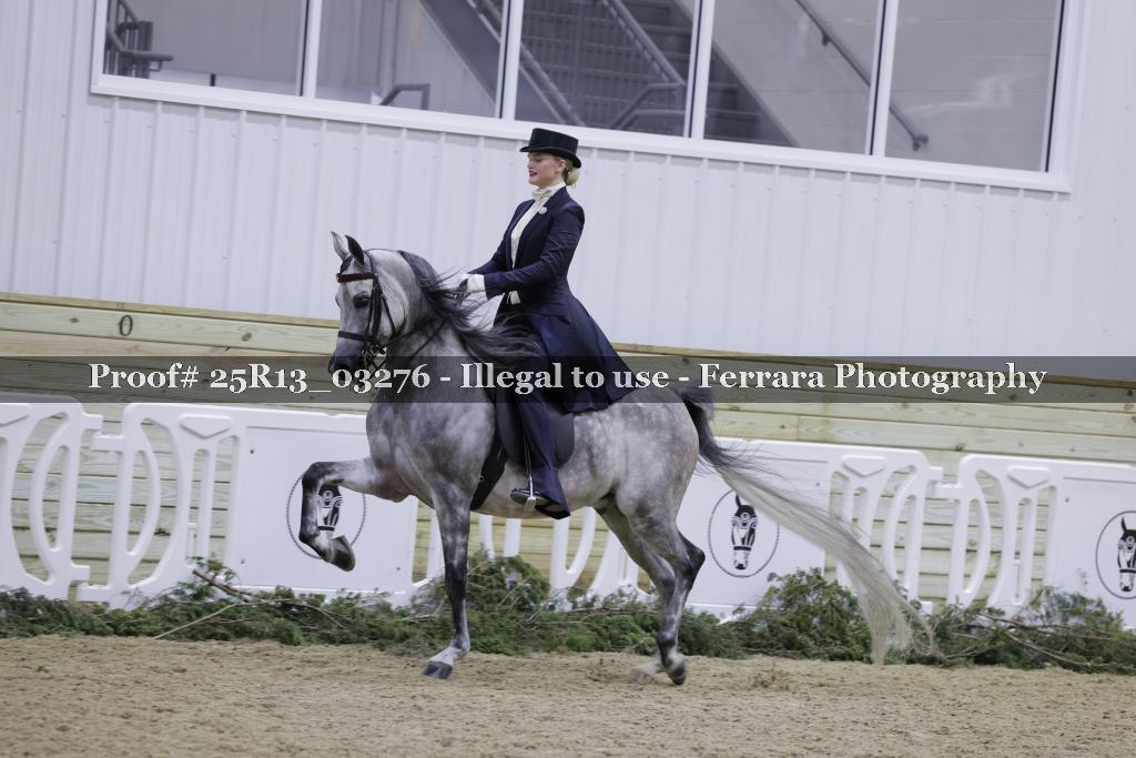Proof 25R13_03276