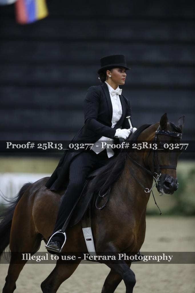 Proof 25R13_03277
